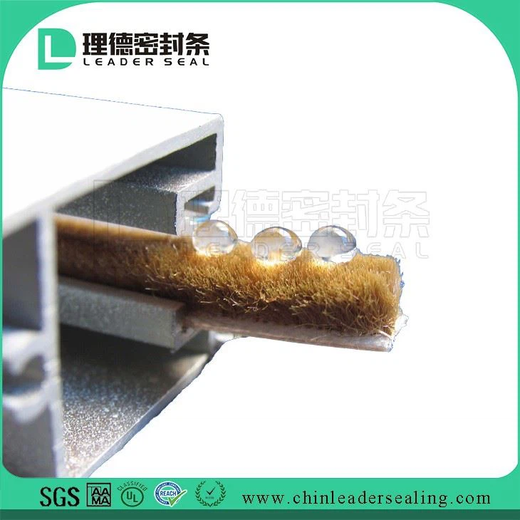 UPVC Window And Door Seal